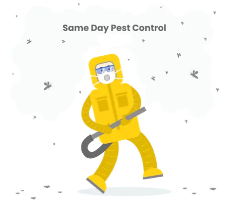 Same Day Pest Control Bentleigh